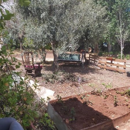 Ferienwohnung יקב דרור- יחידה נפרדת Kefar Shammay Exterior foto